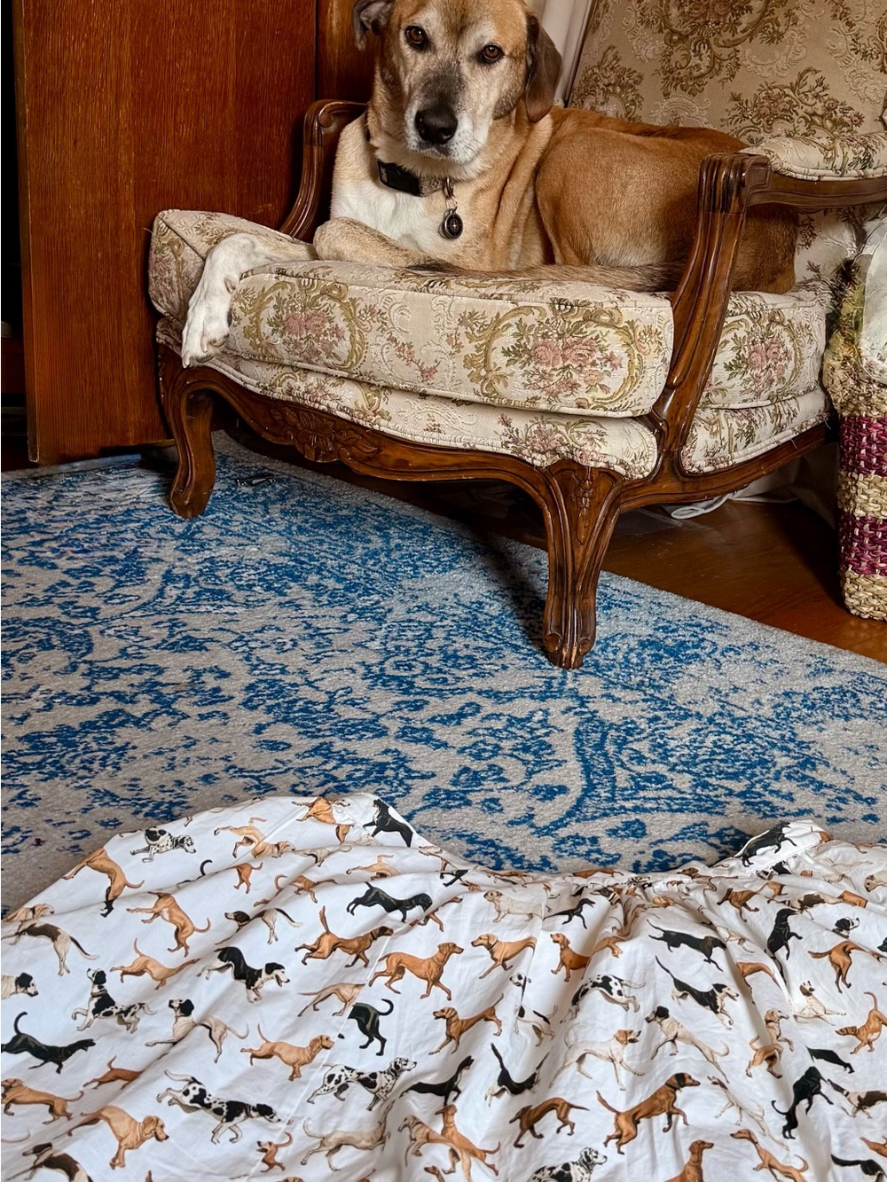 Maeve Cream Dog Print Maxi Skirt size 1x - Picture 9 of 9